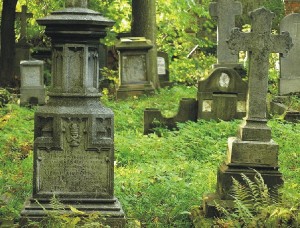 wroclaw-opieka-nad-grobami Zdjęcie - cmentarza - sprzątanie grobów